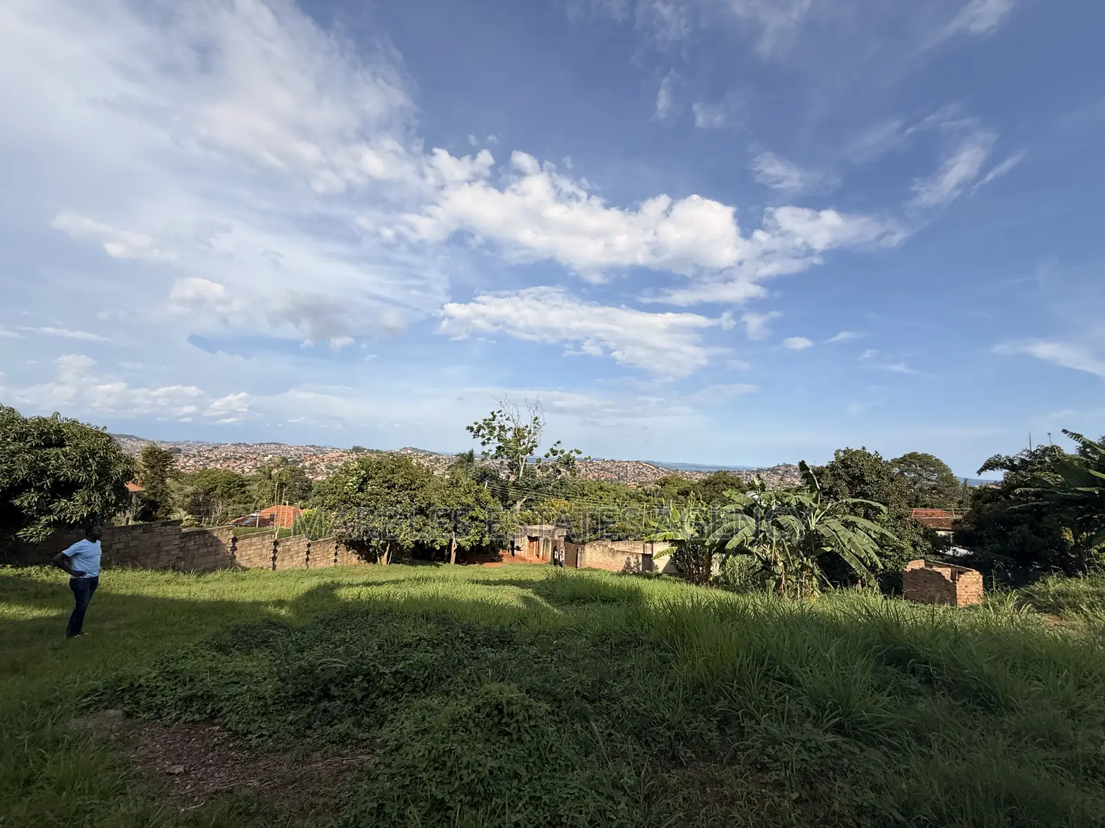 Land image