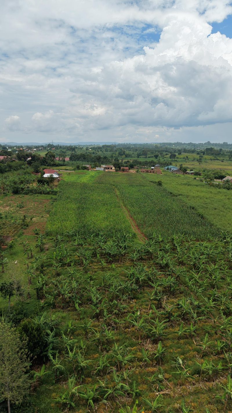 Land image