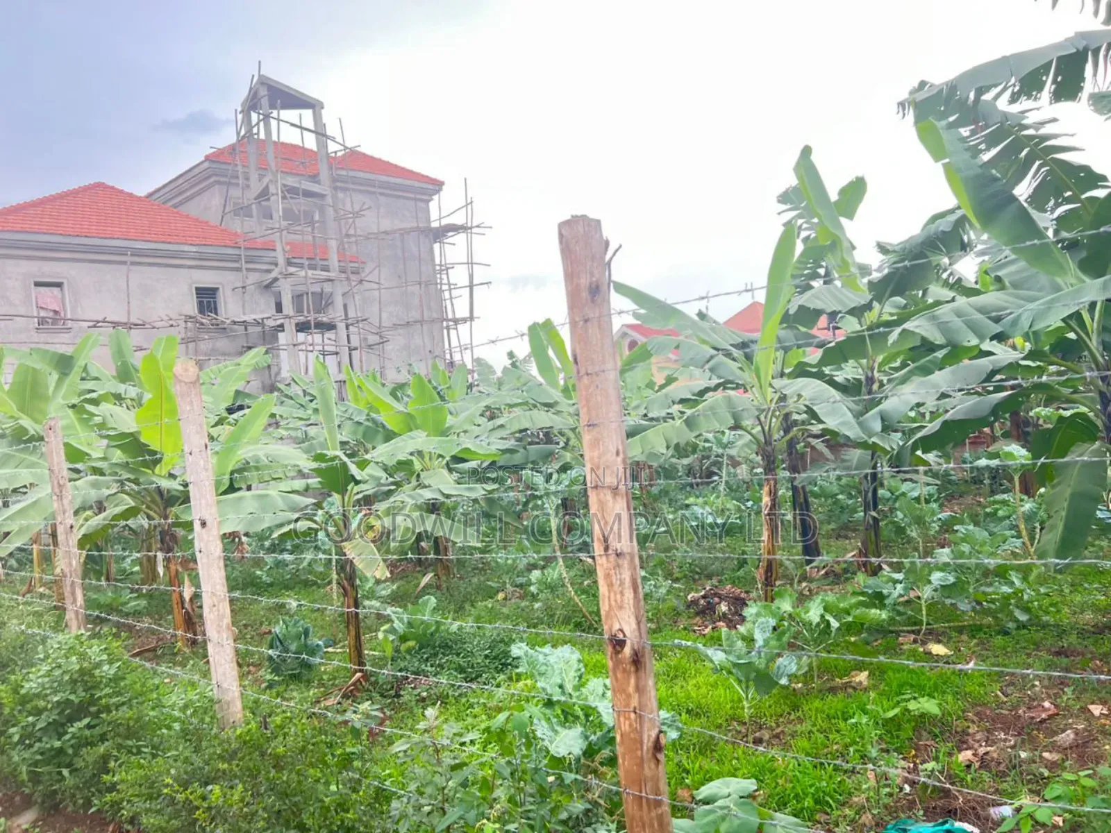 Land image